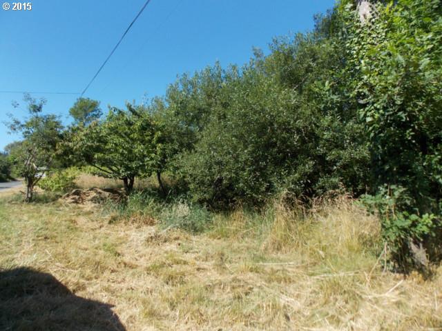 Old Broadbent RD, Myrtle Point, OR 97458