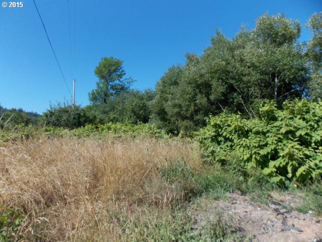 Old Broadbent RD, Myrtle Point, OR 97458