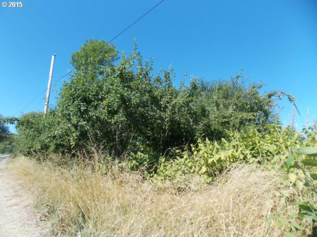 Old Broadbent RD, Myrtle Point, OR 97458
