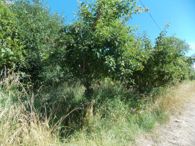 Old Broadbent RD, Myrtle Point, OR 97458