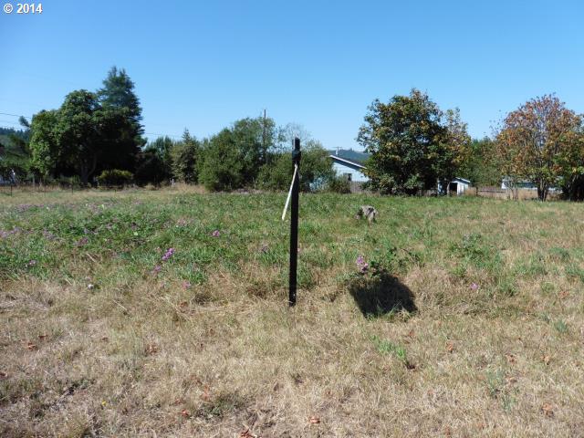 0 Carlisle, Myrtle Point, OR 97458