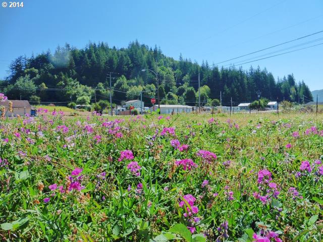 0 Carlisle, Myrtle Point, OR 97458