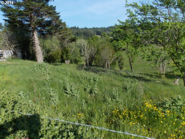 90500 NORTH FORK LN, Myrtle Point, OR 97458