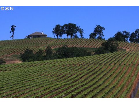 1310 MISTY OAKS LN, Oakland, OR 97462
