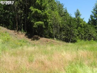0949782, Oakridge, OR 97463