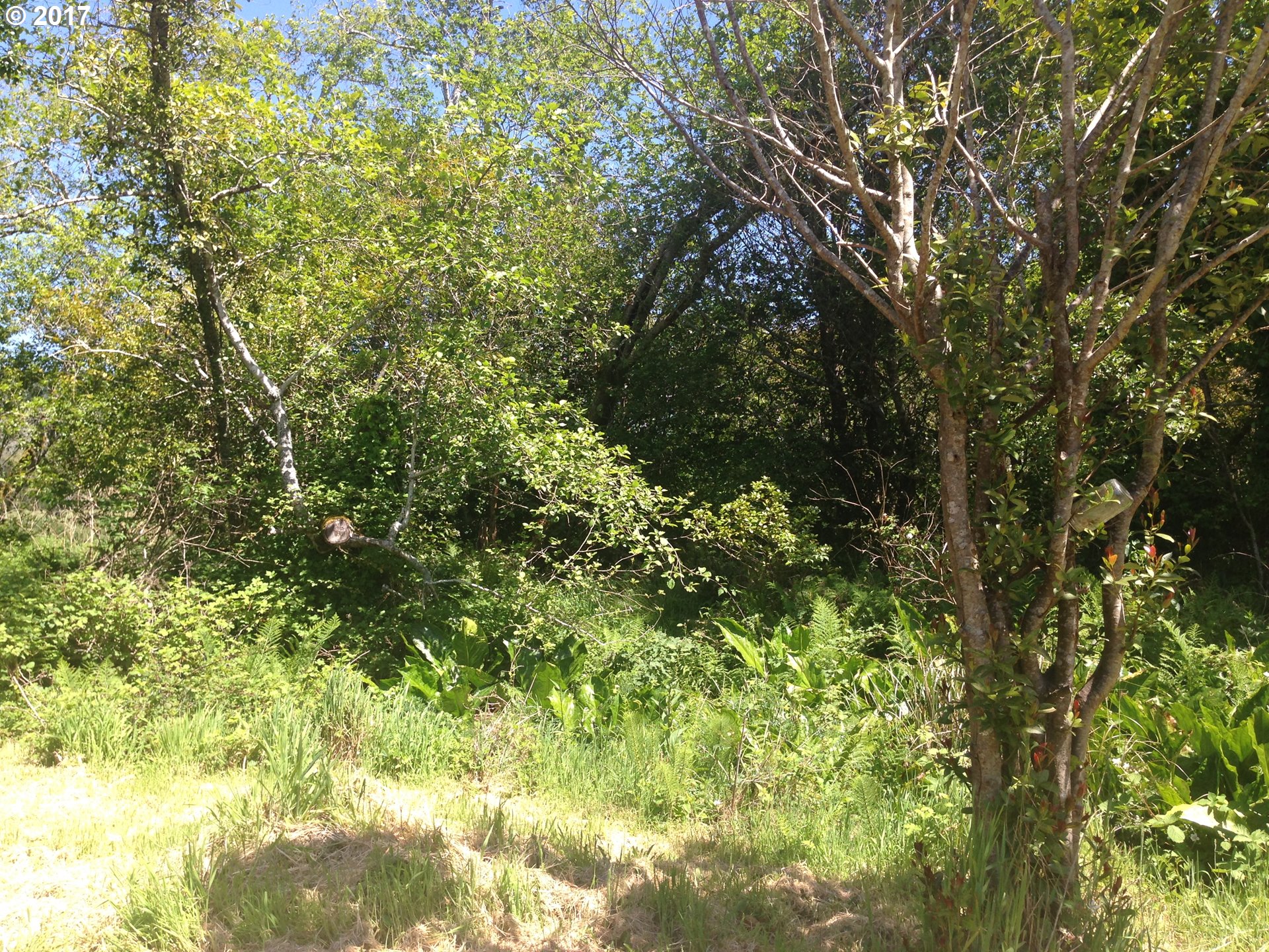 Elk River Road, Port Orford, OR 97465