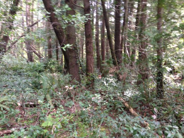 Jackson ST, Port Orford, OR 97465