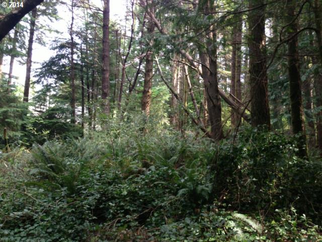 Jackson ST, Port Orford, OR 97465
