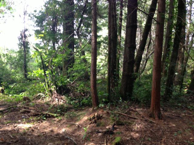 Jackson ST, Port Orford, OR 97465