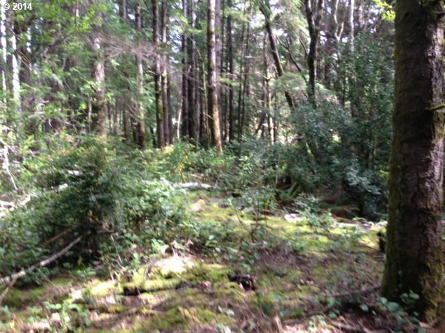Jackson ST, Port Orford, OR 97465