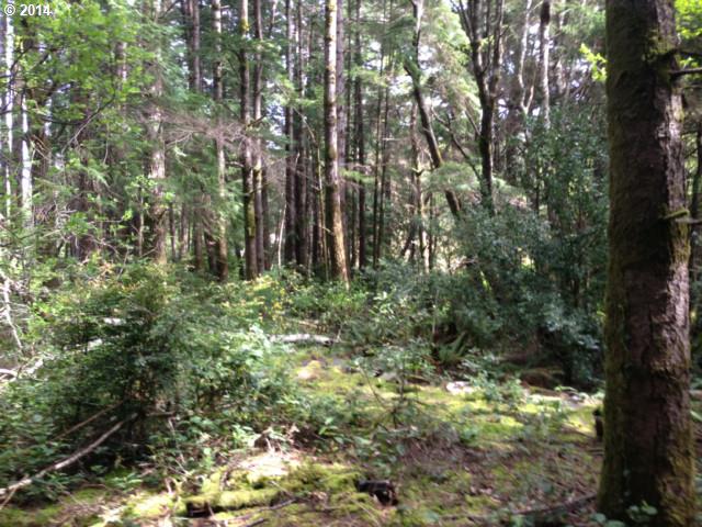Jackson ST, Port Orford, OR 97465