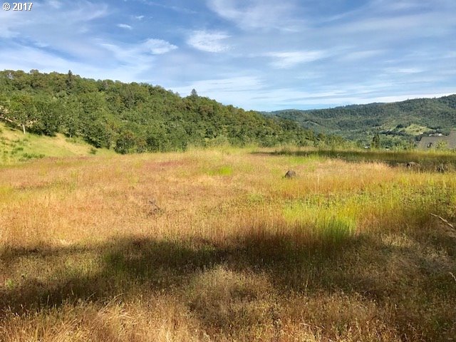 1324 NE ROCKY DR, Roseburg, OR 97470