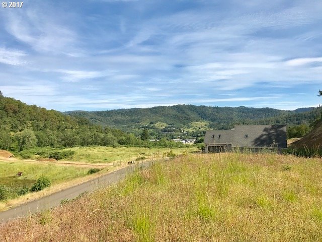 1324 NE ROCKY DR, Roseburg, OR 97470