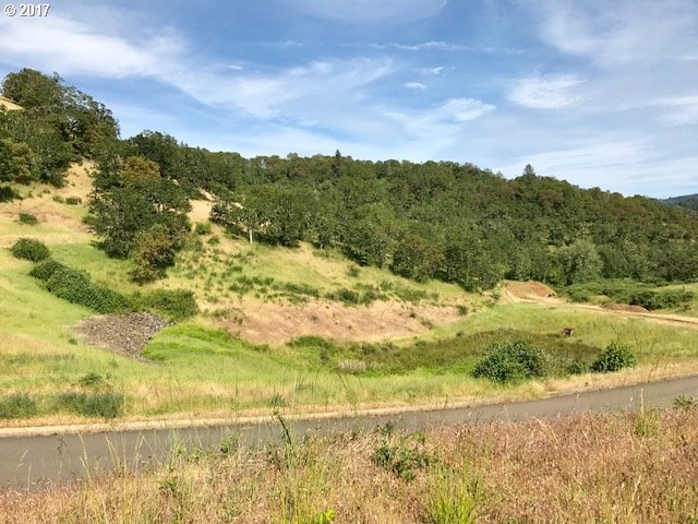 1324 NE ROCKY DR, Roseburg, OR 97470