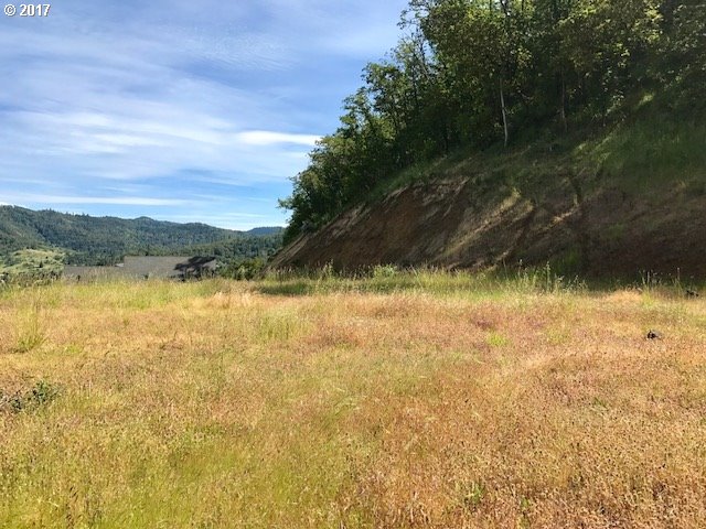 1324 NE ROCKY DR, Roseburg, OR 97470