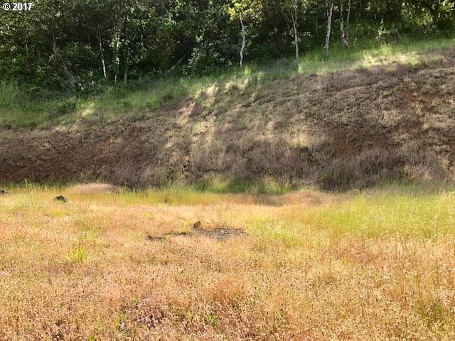 1324 NE ROCKY DR, Roseburg, OR 97470