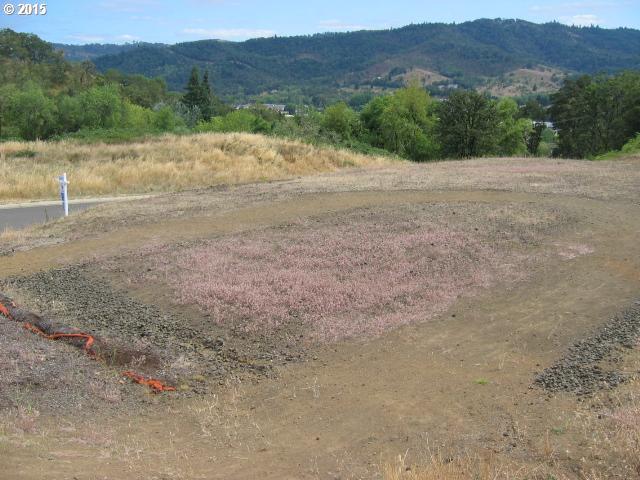 1120 NE ROCKY DR, Roseburg, OR 97470