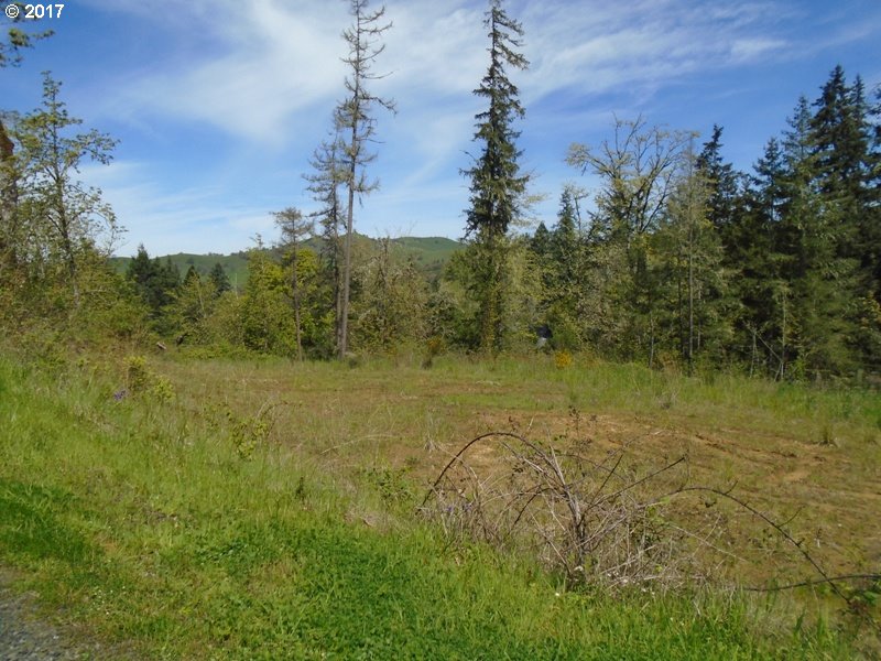 0 WILD RIVER DR, Roseburg, OR 97470