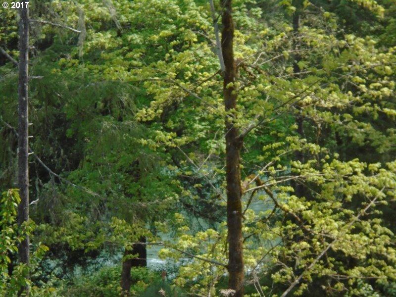 0 WILD RIVER DR, Roseburg, OR 97470
