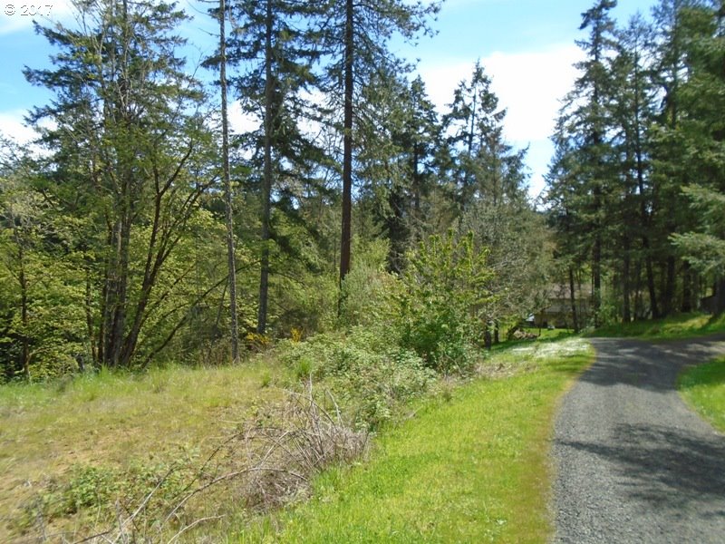 0 WILD RIVER DR, Roseburg, OR 97470