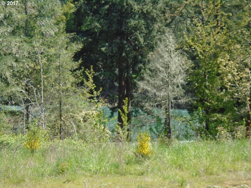 0 WILD RIVER DR, Roseburg, OR 97470