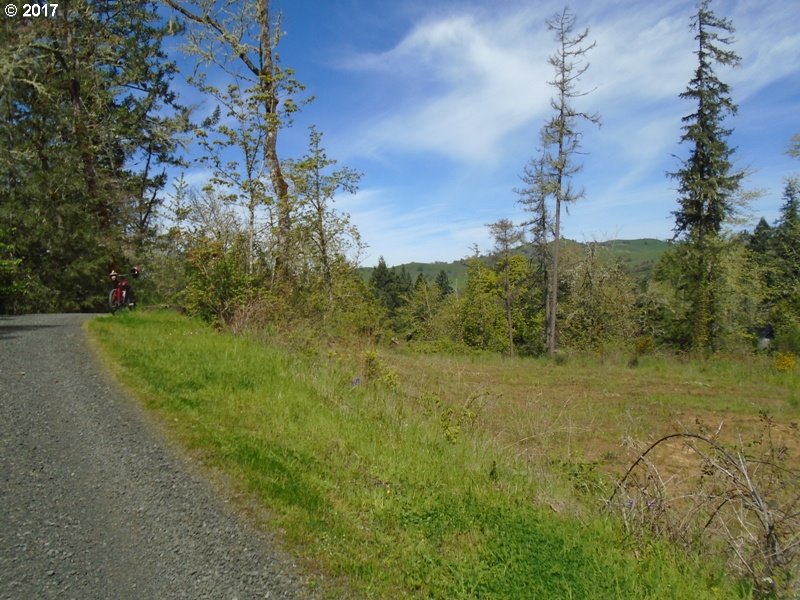 0 WILD RIVER DR, Roseburg, OR 97470