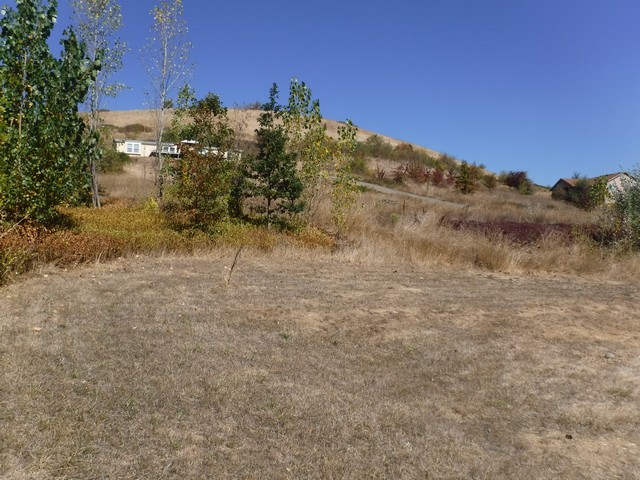 2446 Landers AveRoseburg, OR, 97471Douglas County