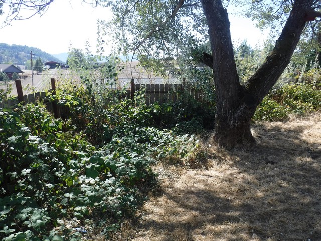 2446 Landers AveRoseburg, OR, 97471Douglas County