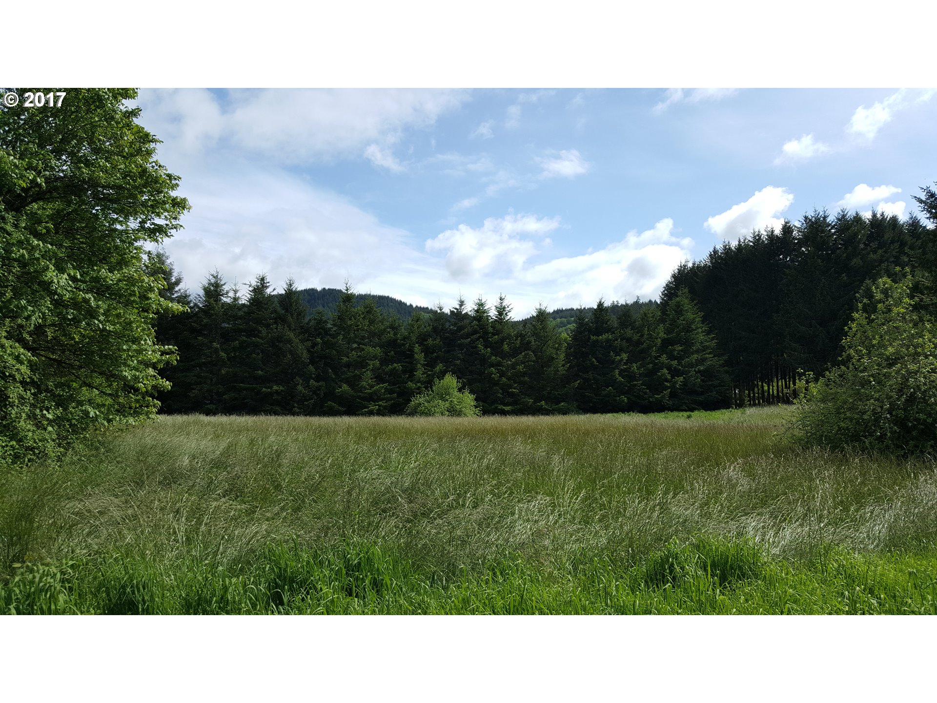 0 STATE HIGHWAY 38, Scottsburg, OR 97473