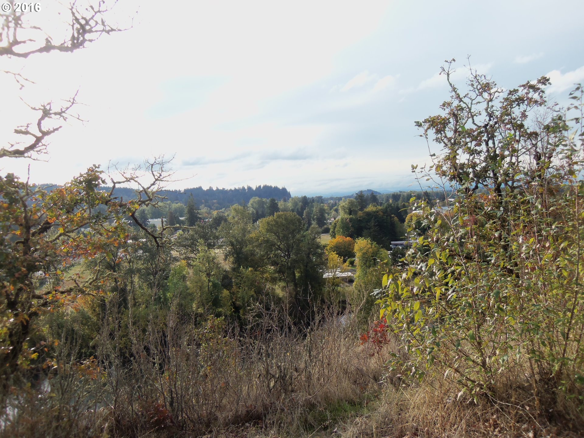 So.2d. or 3rd., Springfield, OR 97477