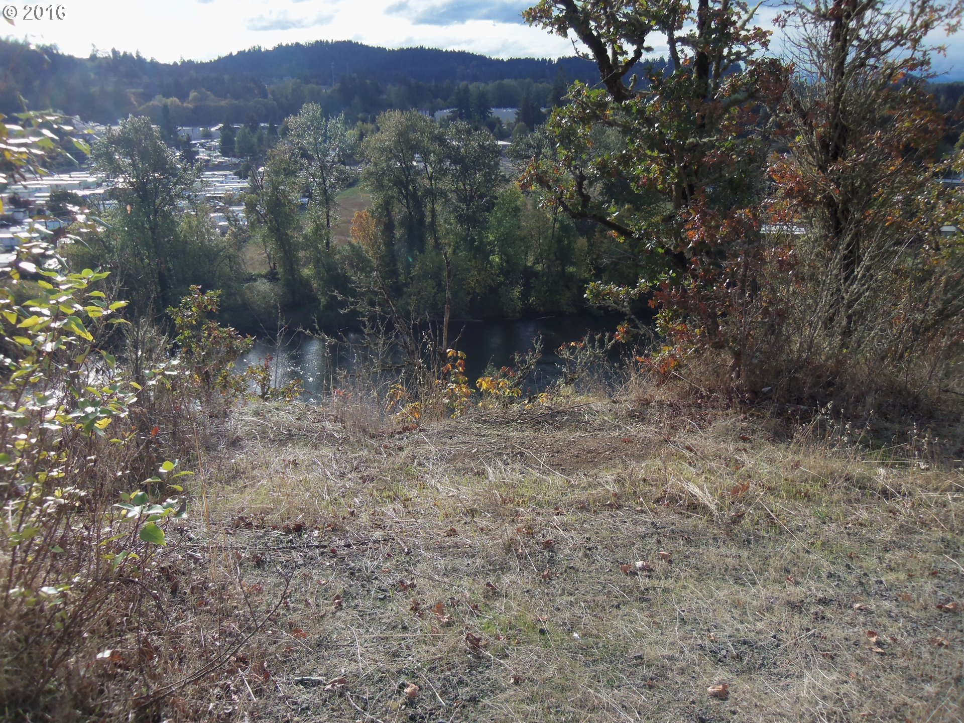 So.2d. or 3rd., Springfield, OR 97477