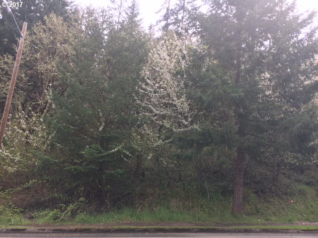 Weyerhaeuser RD 17, Springfield, OR 97478