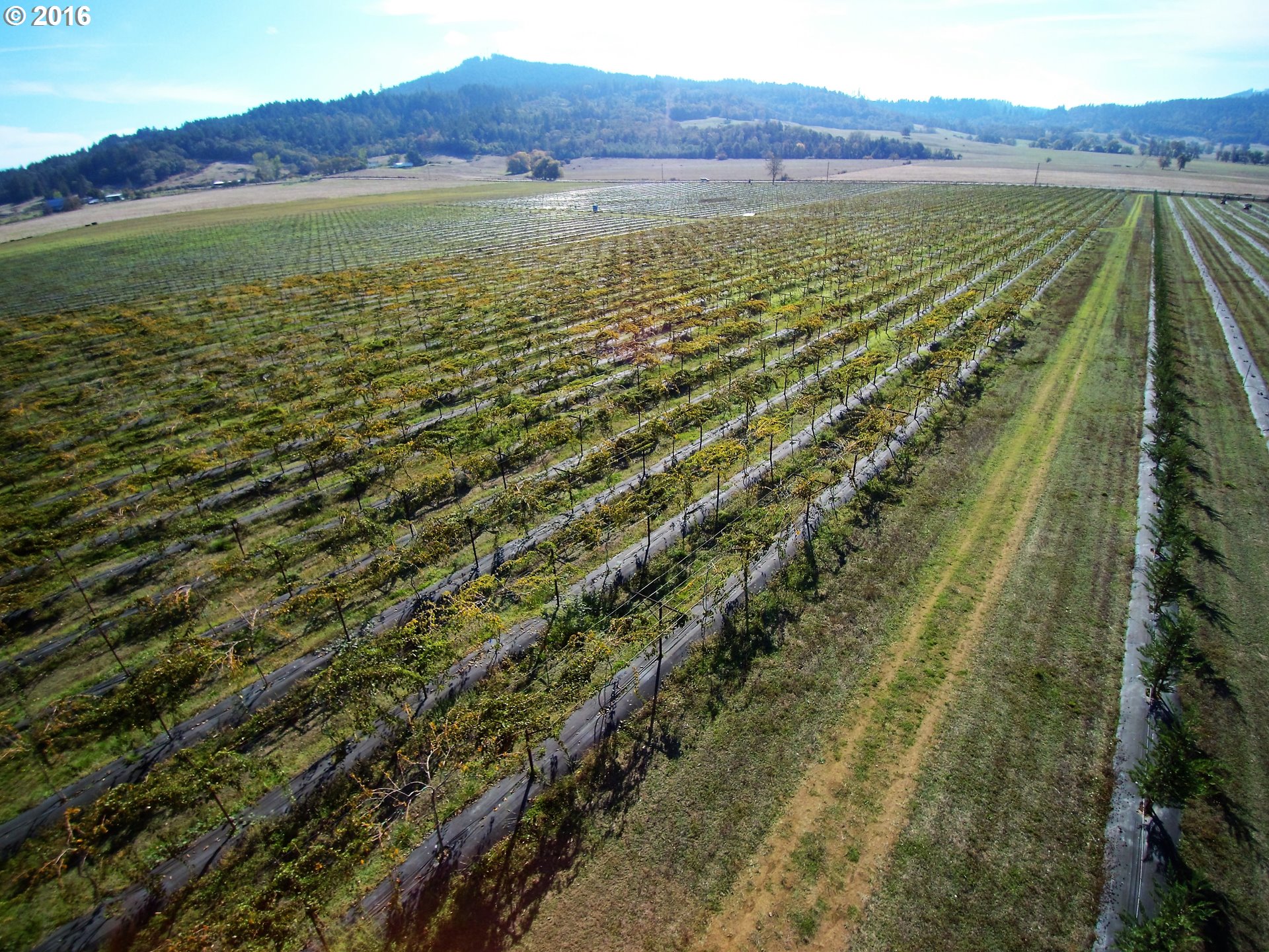 2201 FORT MCKAY RD, Sutherlin, OR 97479