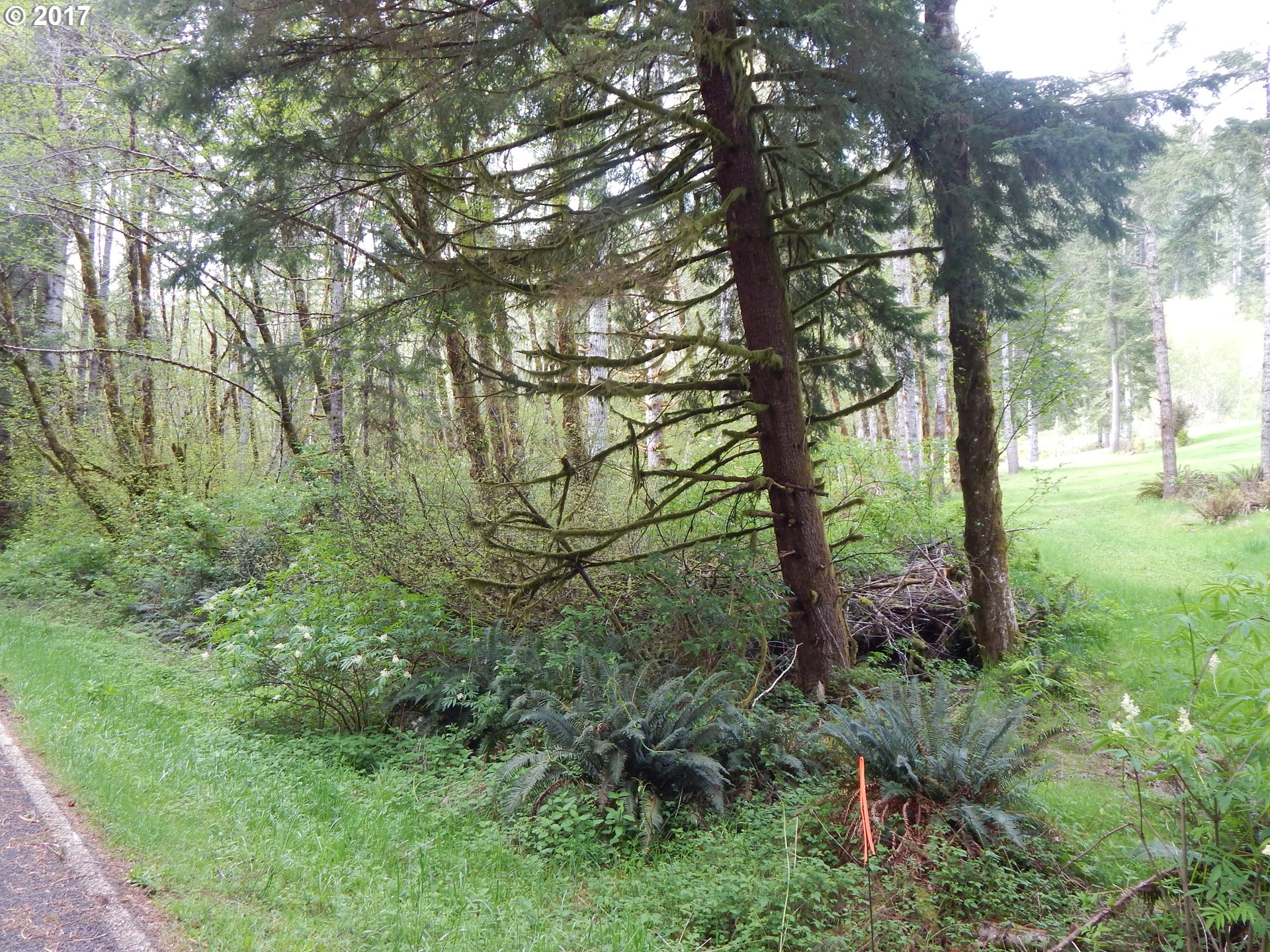 90600 INDIAN CREEK RD, Swisshome, OR 97480