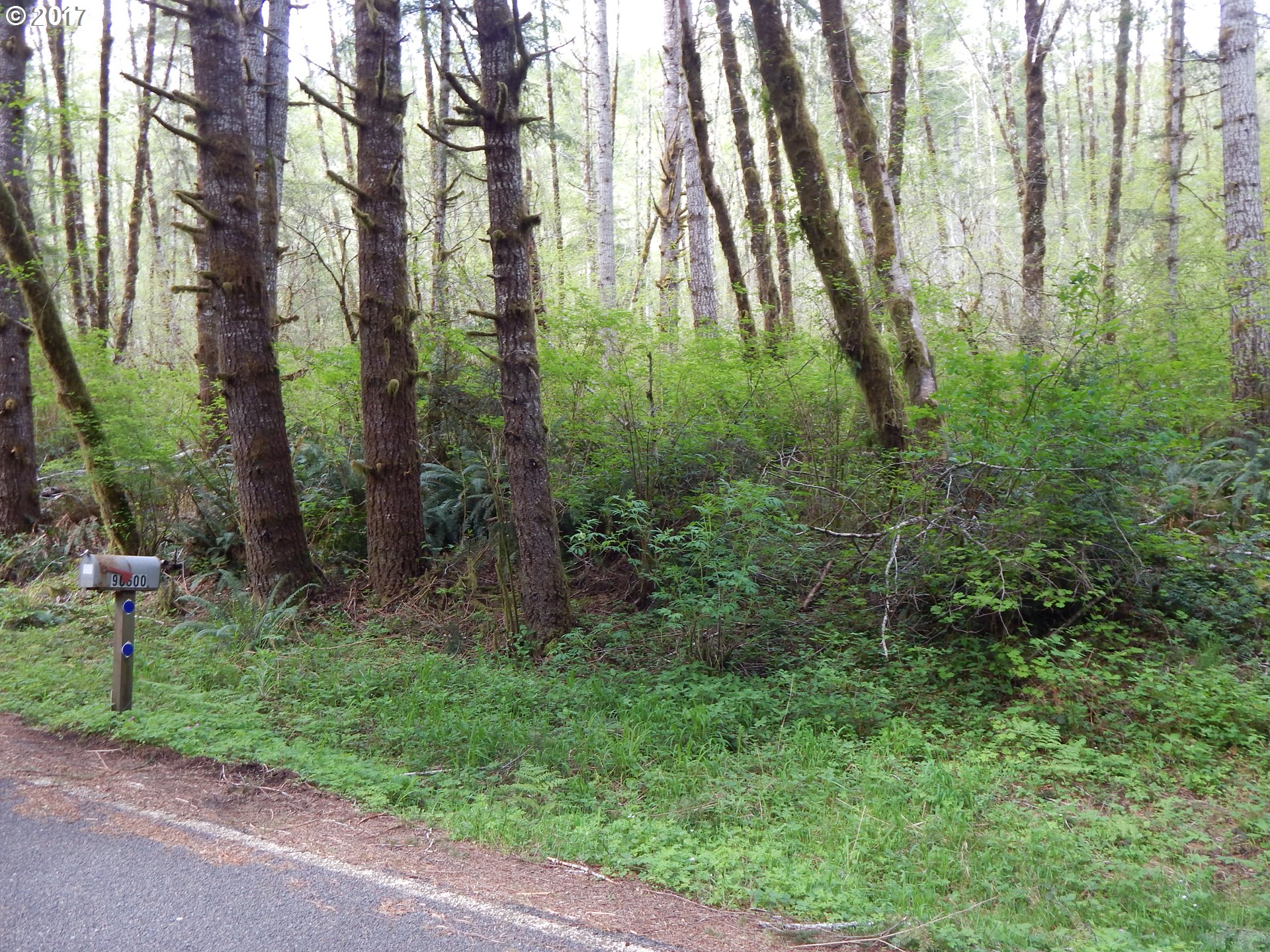 90600 INDIAN CREEK RD, Swisshome, OR 97480