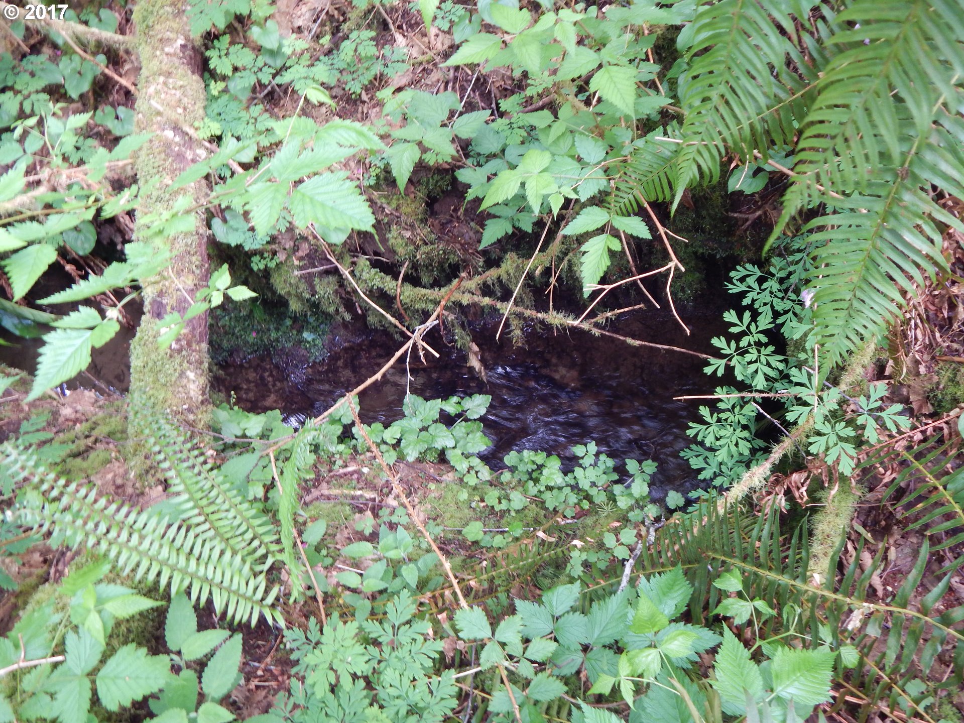 90600 INDIAN CREEK RD, Swisshome, OR 97480