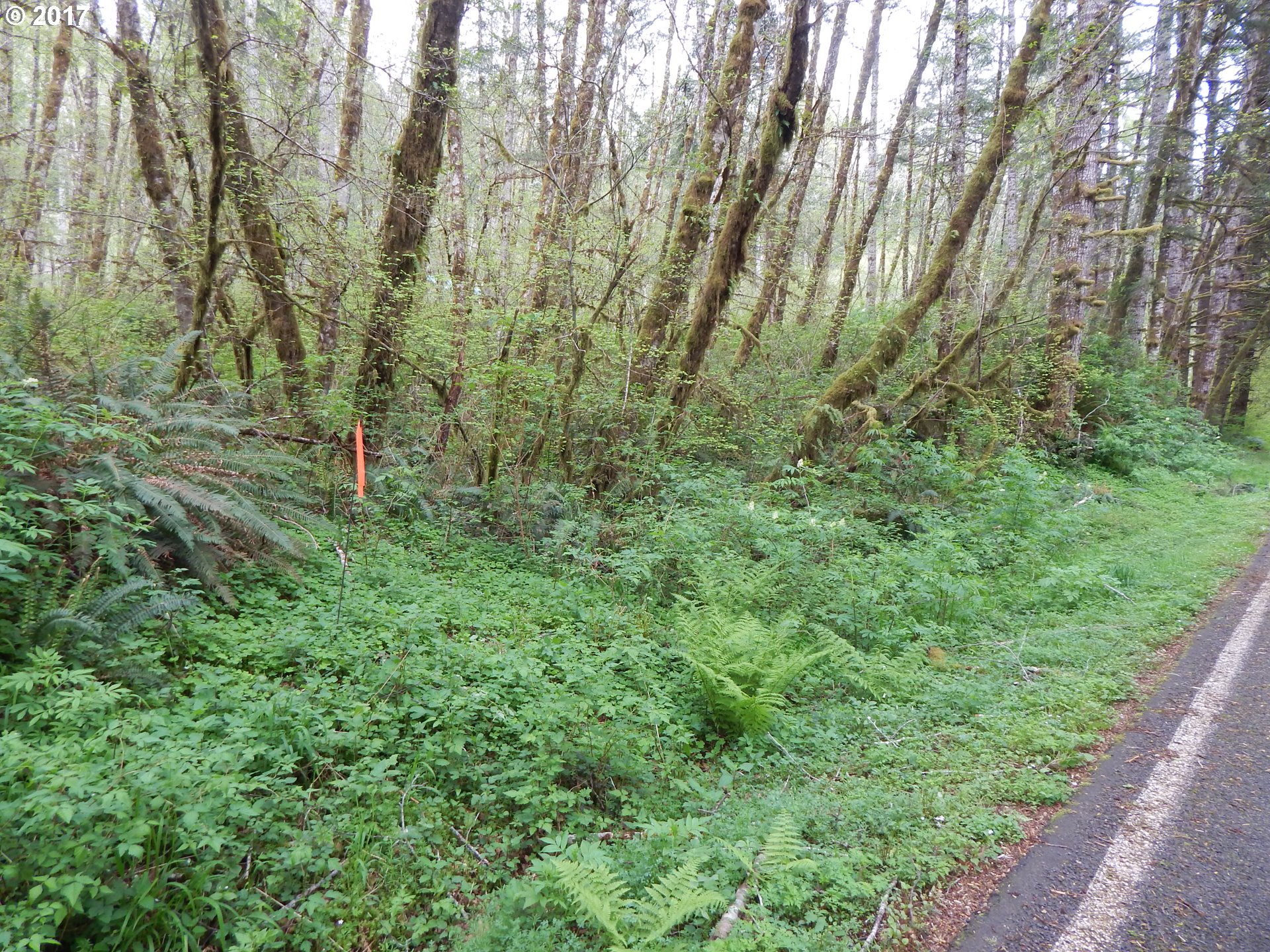 90600 INDIAN CREEK RD, Swisshome, OR 97480