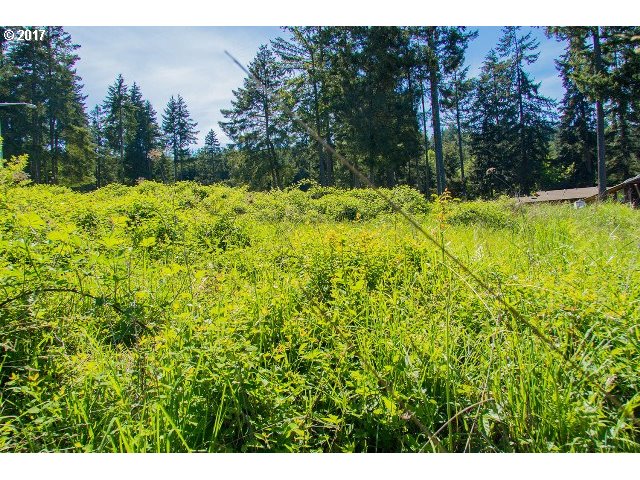 87977 10TH ST, Veneta, OR 97487