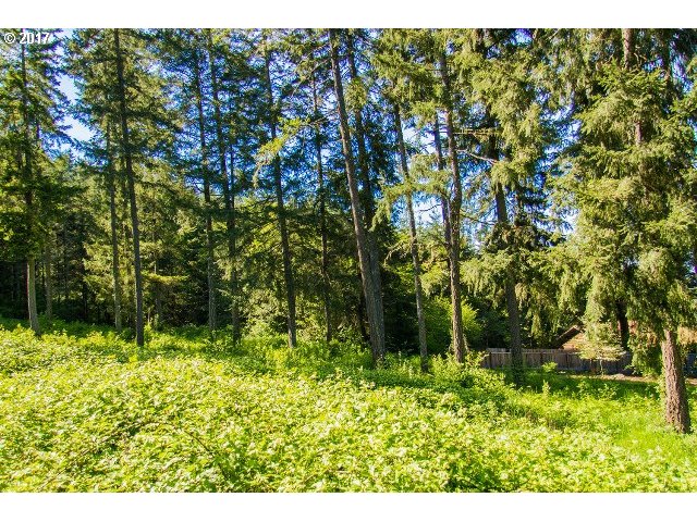 24707 NOTTINGHAM ST, Veneta, OR 97487