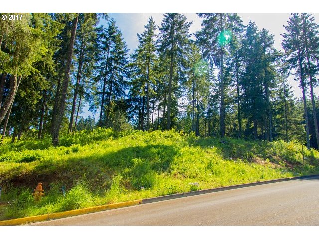 24710 NOTTINGHAM ST, Veneta, OR 97487