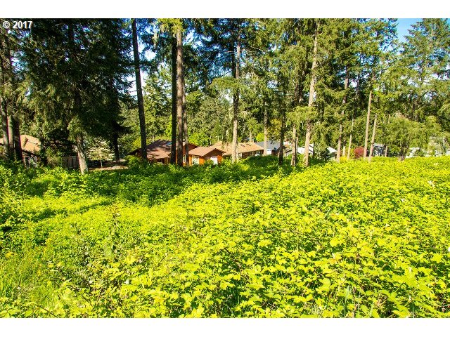 24701 NOTTINGHAM ST, Veneta, OR 97487