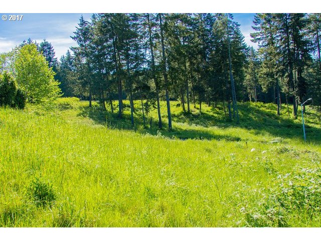 87941 10TH ST, Veneta, OR 97487
