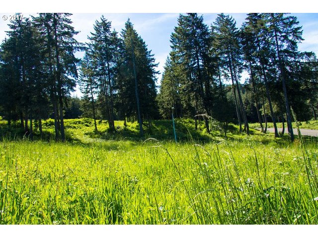 87949 10TH ST, Veneta, OR 97487