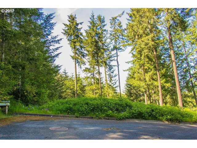24695 NOTTINGHAM ST, Veneta, OR 97487