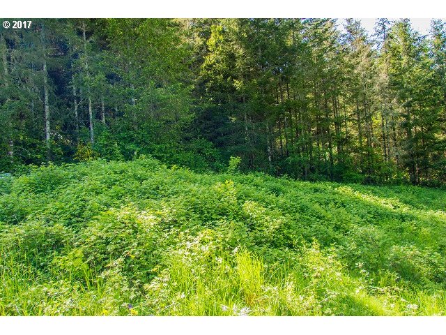 24695 NOTTINGHAM ST, Veneta, OR 97487