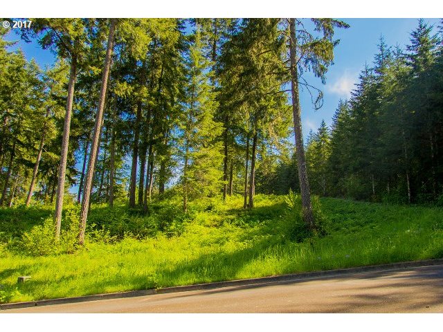 24696 NOTTINGHAM ST, Veneta, OR 97487