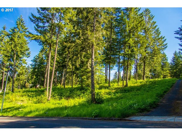 24696 NOTTINGHAM ST, Veneta, OR 97487