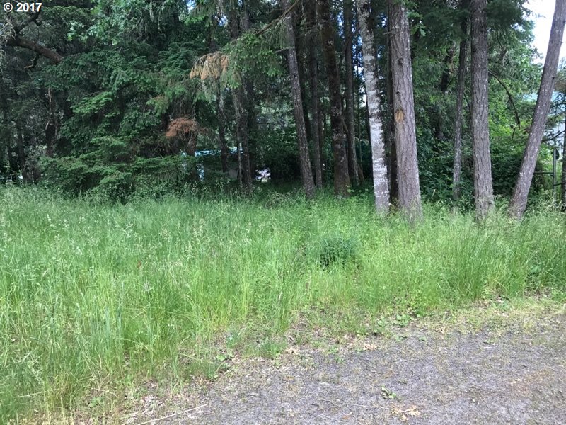 MARINA DR, Veneta, OR 97487
