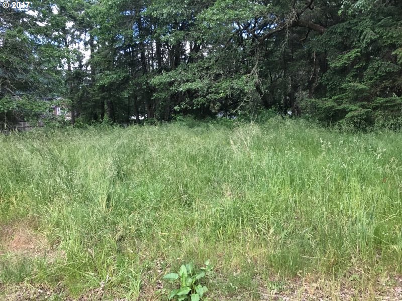 MARINA DR, Veneta, OR 97487