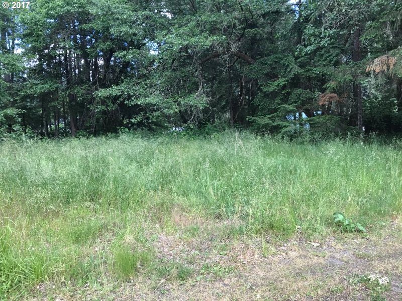 MARINA DR, Veneta, OR 97487
